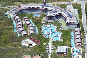 Magic Life Jacaranda Imperial Colaklı